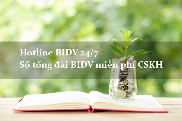 Hotline BIDV 24/7 - Số tổng đài BIDV miễn phí CSKH